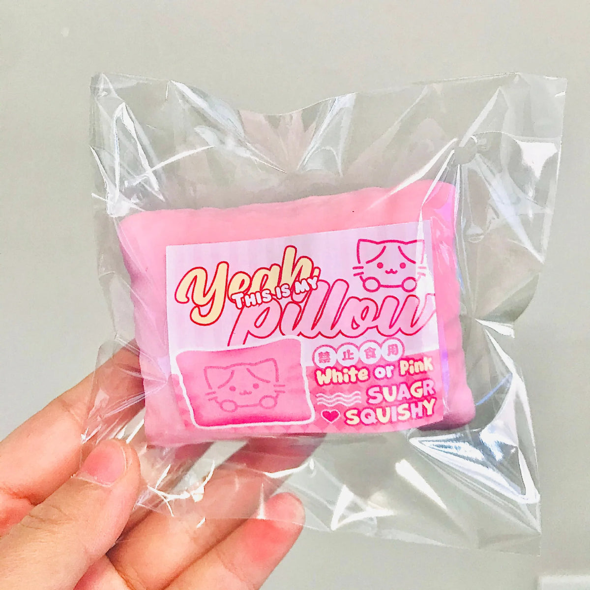 Kitty Pillow Squishy