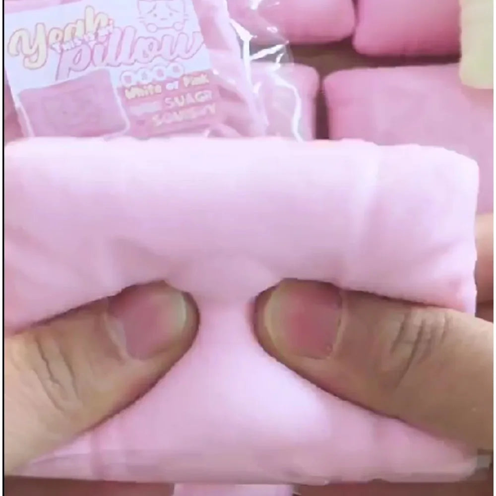 Kitty Pillow Squishy